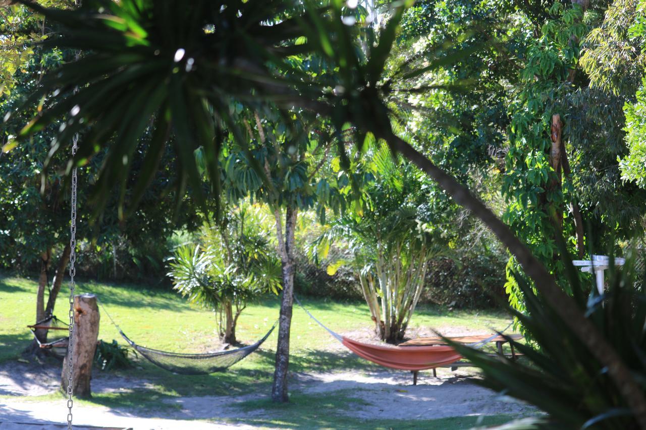 Backpackers Inn On The Beach Byron Bay Ngoại thất bức ảnh